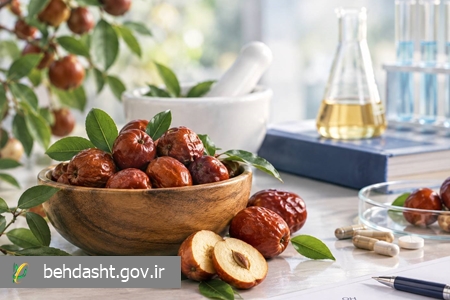 عناب؛ میوه ای پاییزی با ظرفیت دارویی