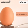 اجزای ترکیبی تخم مرغ
