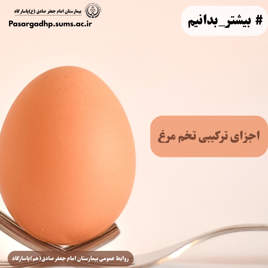 اجزای ترکیبی تخم مرغ